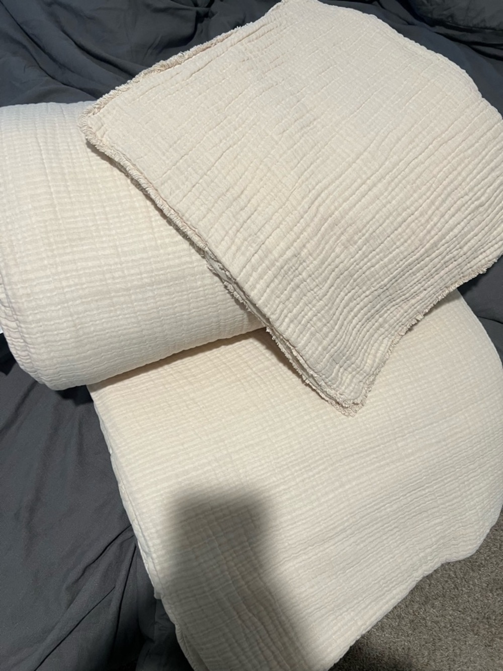 Casaluna king/ cal king comforter and Pillow